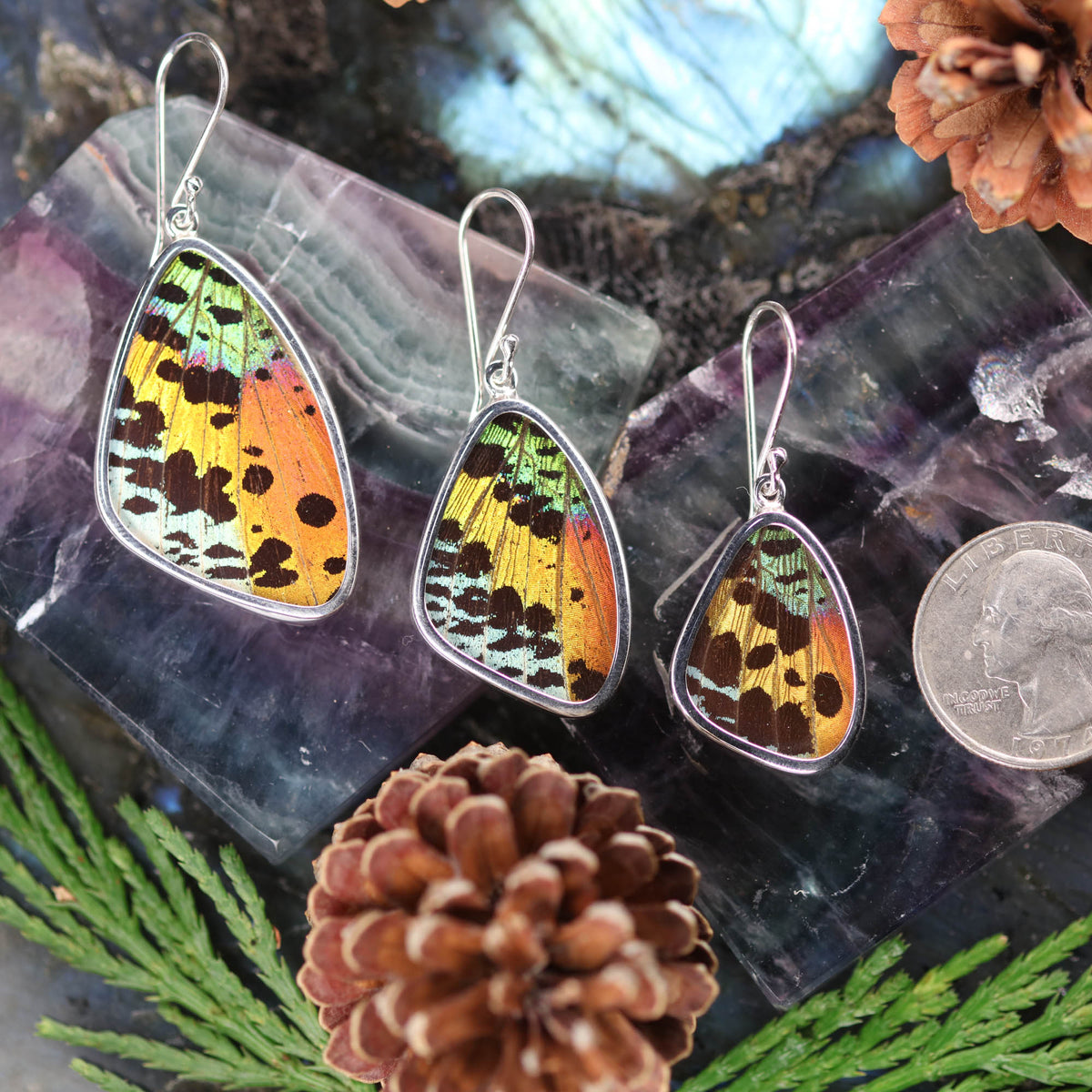 Brimstone Wing Butterfly cheapest earrings