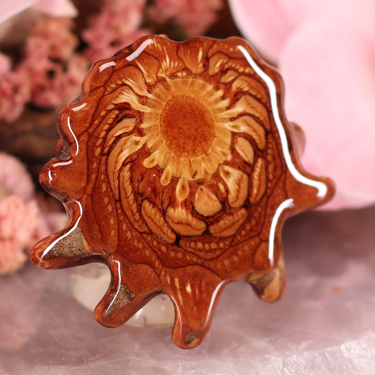 Natural Third Eye Pinecones