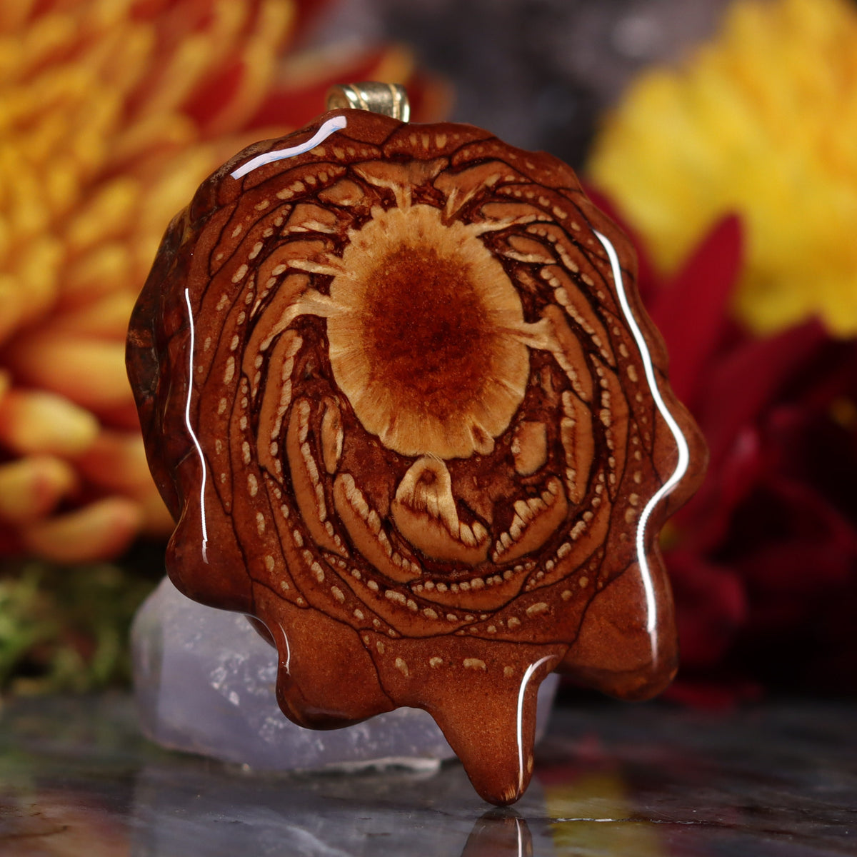 Natural Third Eye Pinecones