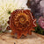 Ammonite