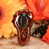 Bloodstone Teardrop