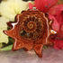 Ammonite