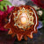 Mexican Fire Opal with Gold 64 Star Tetrahedron