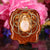 Orgonite with Moonstone and Gold Seed of Life