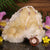 Rose Quartz with Gold Seed of Life Beaded Choker Necklace