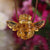 Amber Bee Necklace