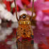 Amber Bee Necklace