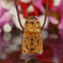 Amber Bee Necklace