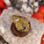 Amber Bee Necklace