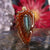 Labradorite Teardrop