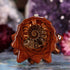 Ammonite