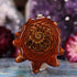 Ammonite