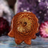 Ammonite