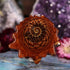 Ammonite