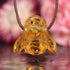 Amber Bee Necklace