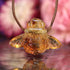 Amber Bee Necklace