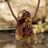 Amber Bee Necklace