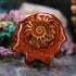 Ammonite