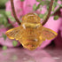 Amber Bee Necklace