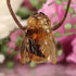 Amber Bee Necklace