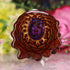 Purple Paua Shell