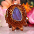 Blue Morpho Butterfly Wing