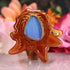 Blue Morpho Butterfly Wing