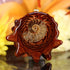 Ammonite