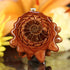 Ammonite