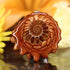 Ammonite