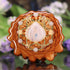 Moonstone with Gold Seed of Life Multi-Stone