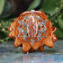 Mexican Fire Opal with Silver 64 Star Tetrahedron