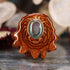 Abalone Shell