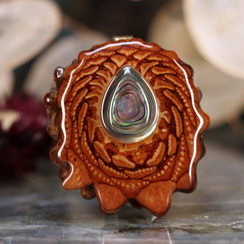 Abalone Shell