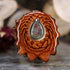 Abalone Shell