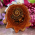 Ammonite with Back Om