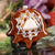 Crazy Lace Agate with Silver 64 Star Tetrahedron
