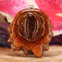 Mexican Fire Agate with Gold Seed of Life and Back Om